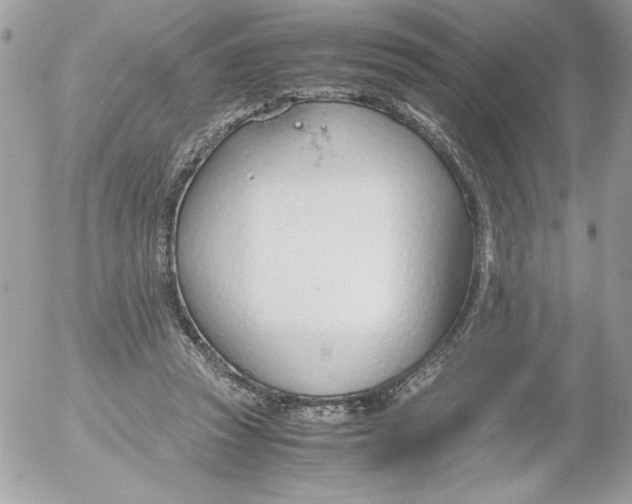 X0000052550353200507291921