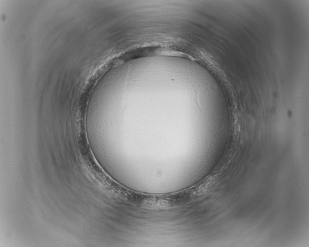 X0000052550354200507291921