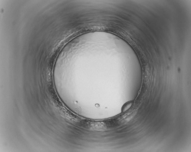 X0000052550355200507291921