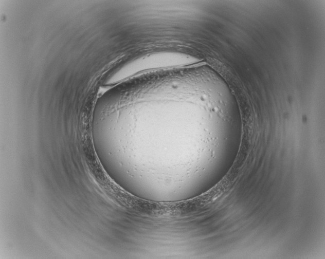 X0000052550356200507291921