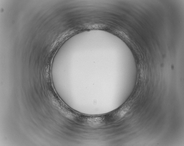 X0000052550357200507291921