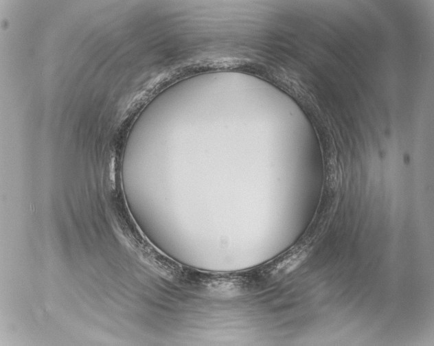 X0000052550358200507291921