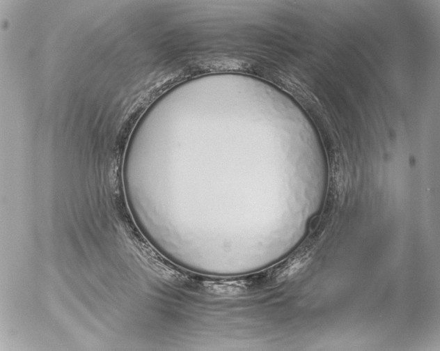 X0000052550359200507291921