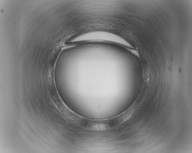 X0000052550360200507291921