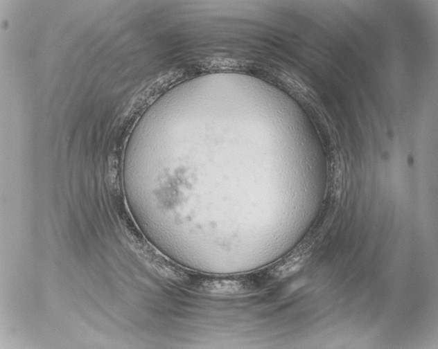 X0000052550361200507291921