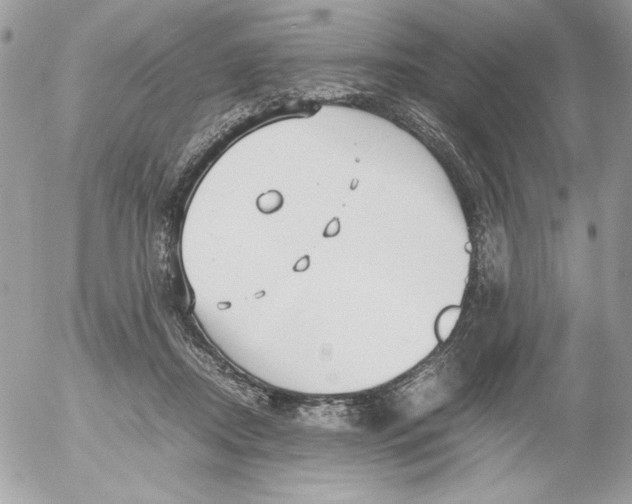 X0000052550362200507291921