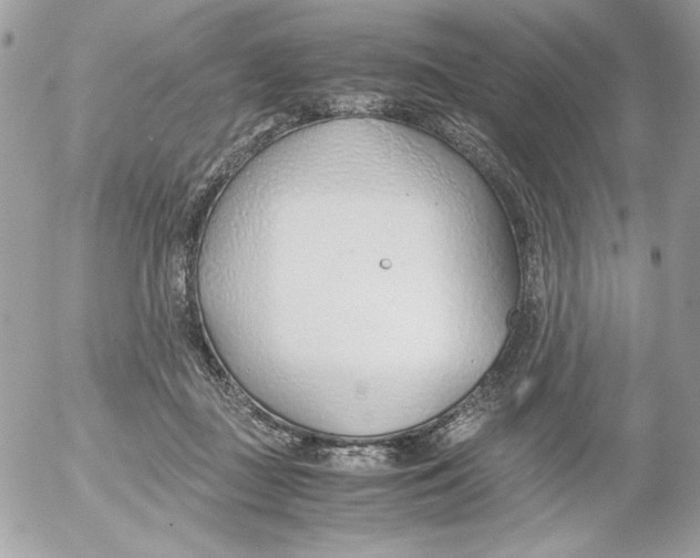 X0000052550363200507291921