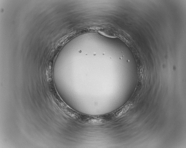 X0000052550364200507291921