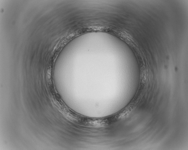 X0000052550365200507291921