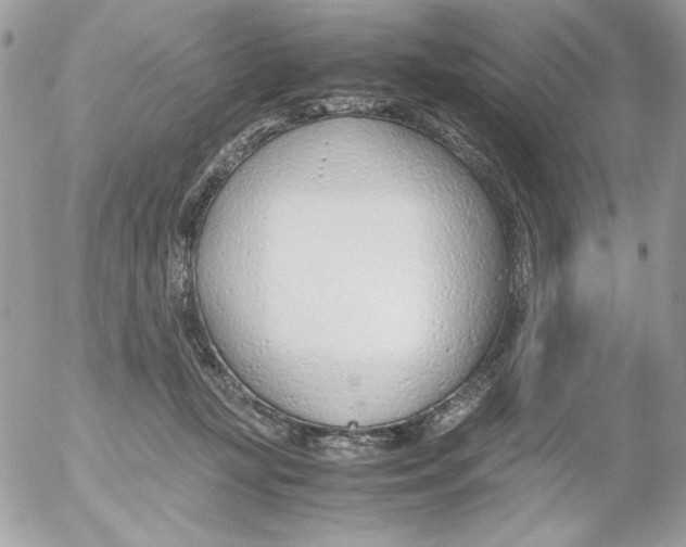 X0000052550367200507291922