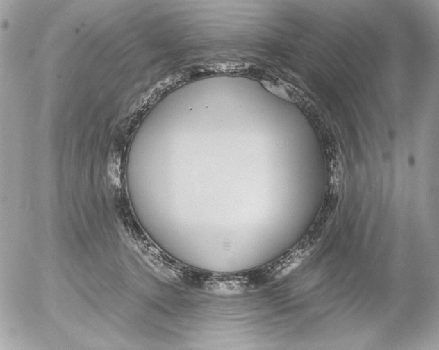 X0000052550368200507291922