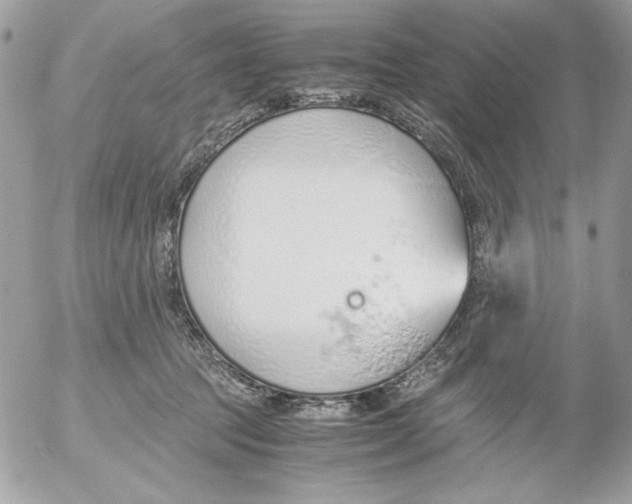 X0000052550369200507291922