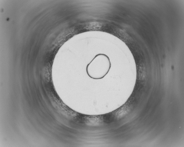 X0000052550370200507291922