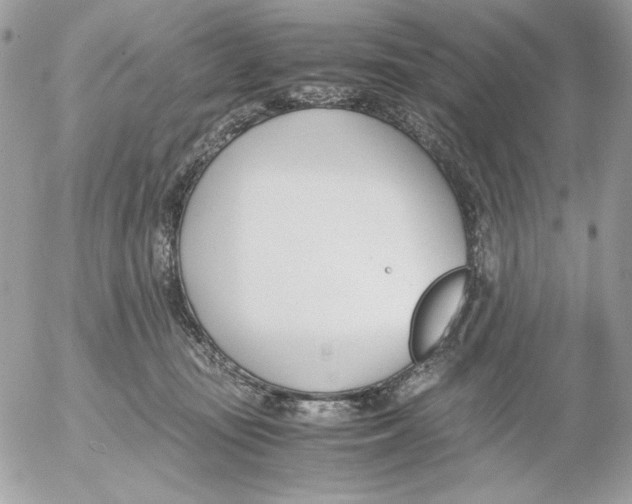 X0000052550371200507291922