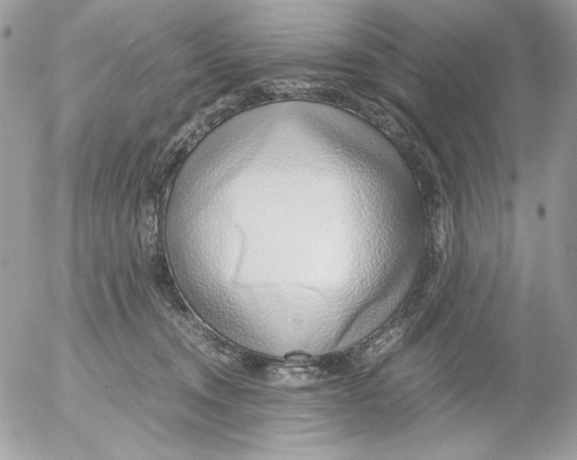 X0000052550372200507291922