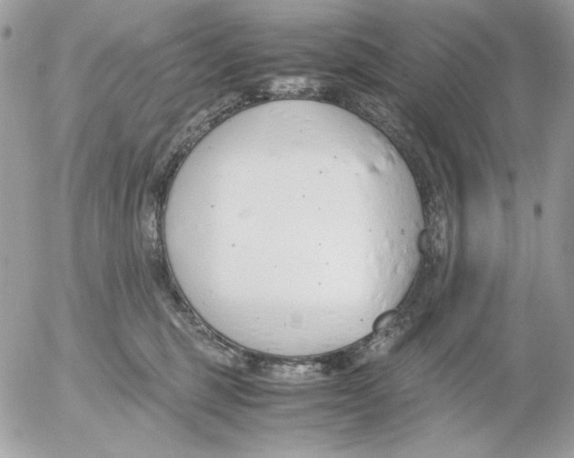 X0000052550375200507291922