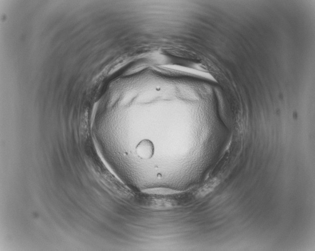 X0000052550376200507291922