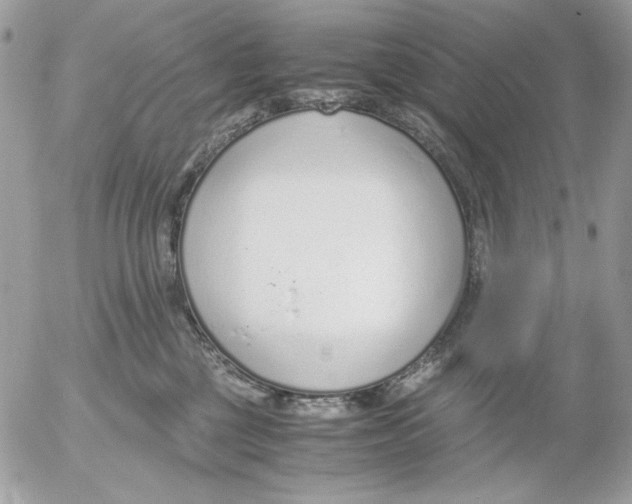 X0000052550377200507291922