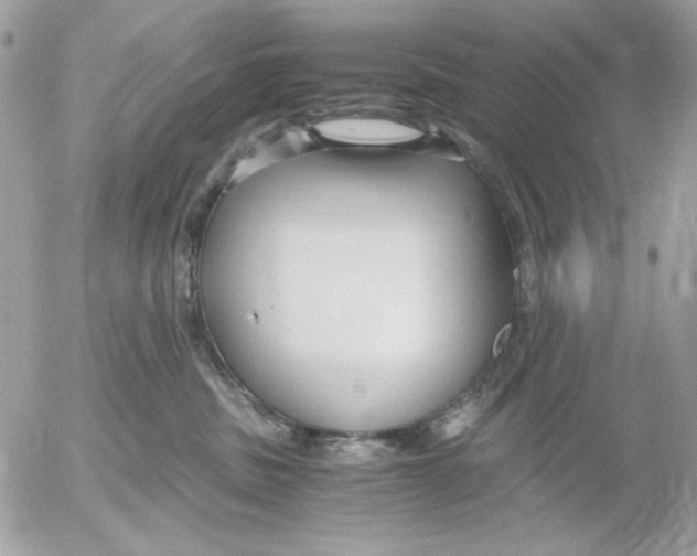 X0000052550379200507291922