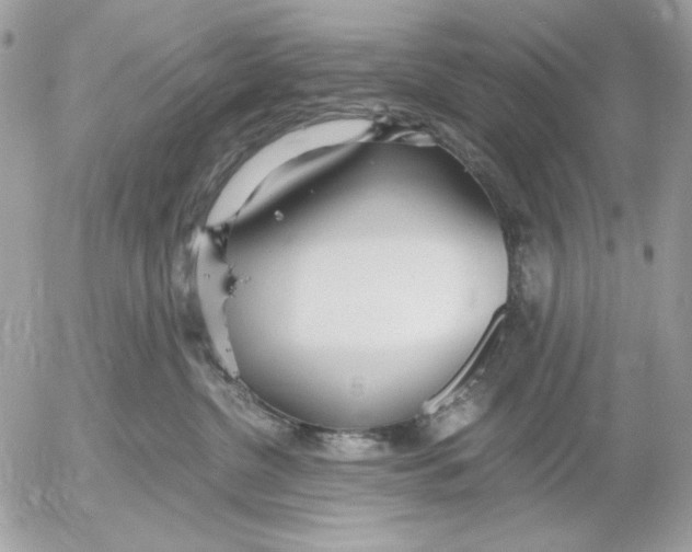 X0000052550380200507291922