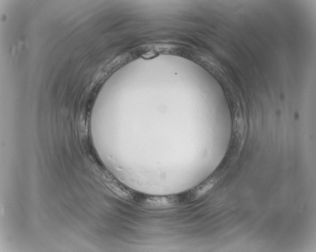 X0000052550381200507291922