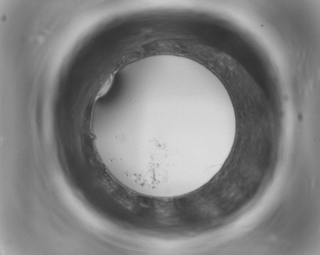 X0000052550382200507291922