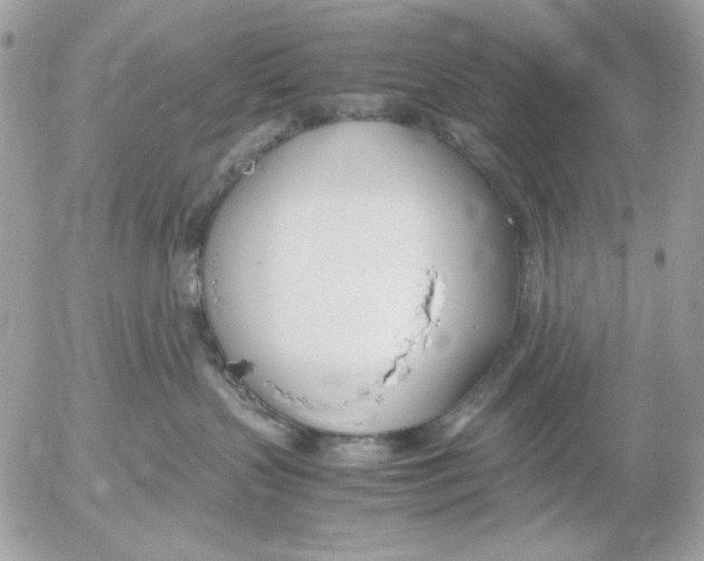 X0000052550383200507291922