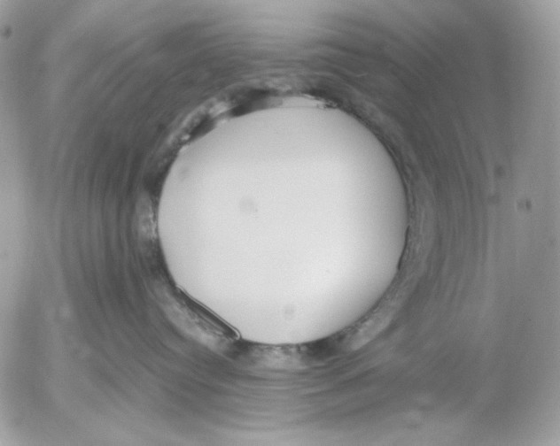 X0000052550384200507291922