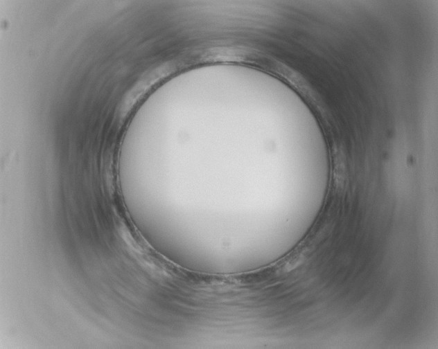 X0000052550386200507291921