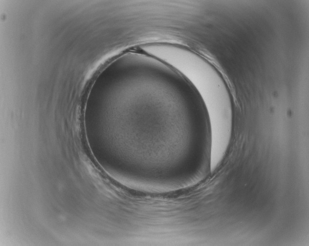 X0000052550387200507291921