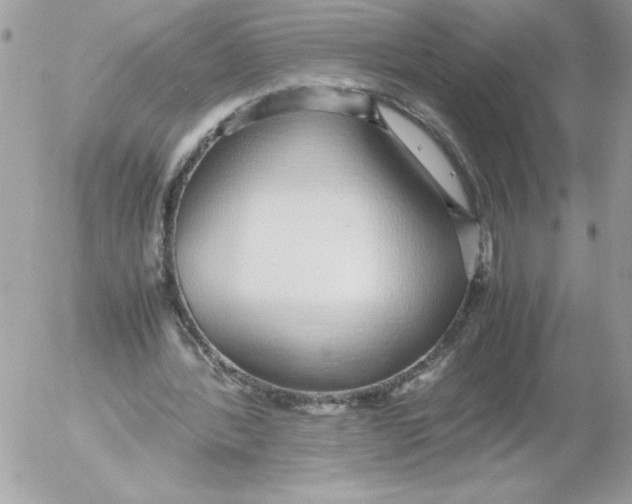 X0000052550388200507291921