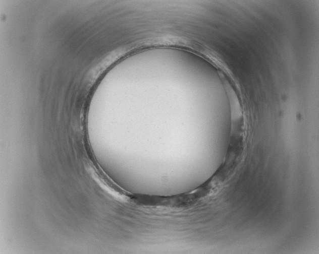 X0000052550389200507291921