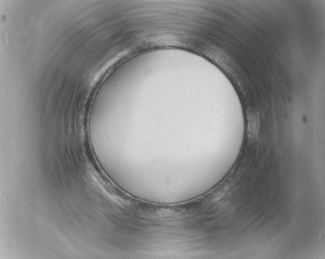 X0000052550390200507291921