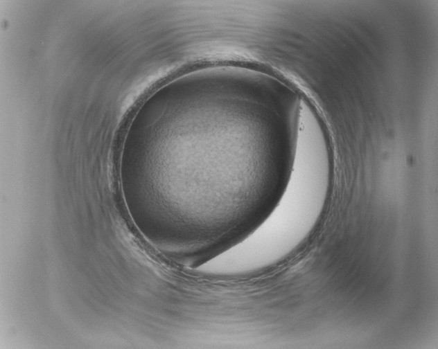 X0000052550391200507291921