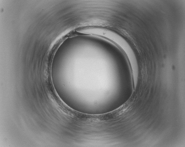 X0000052550392200507291921