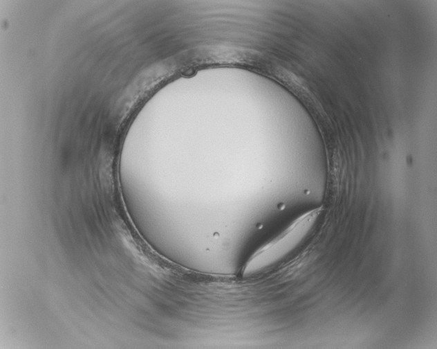 X0000052550394200507291921