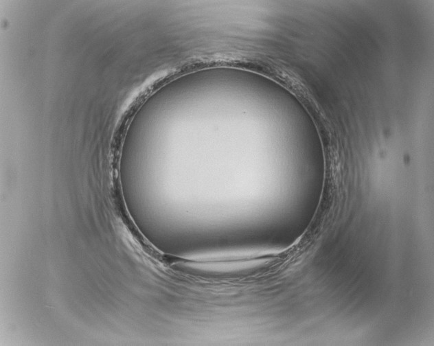 X0000052550395200507291921