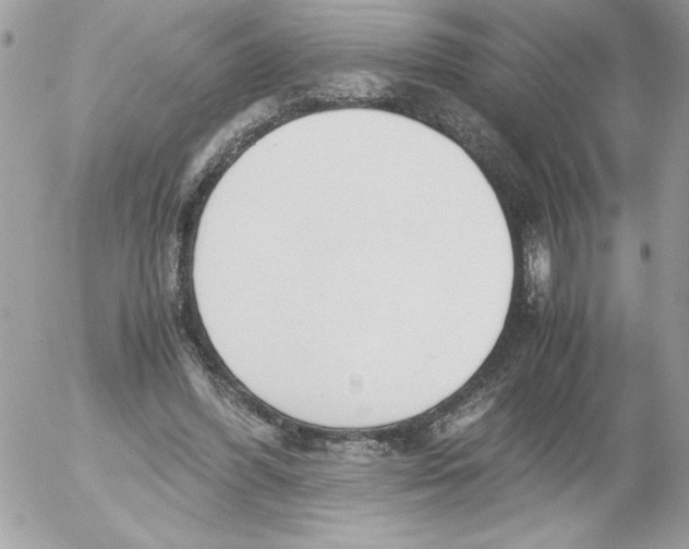 X0000052550396200507291921