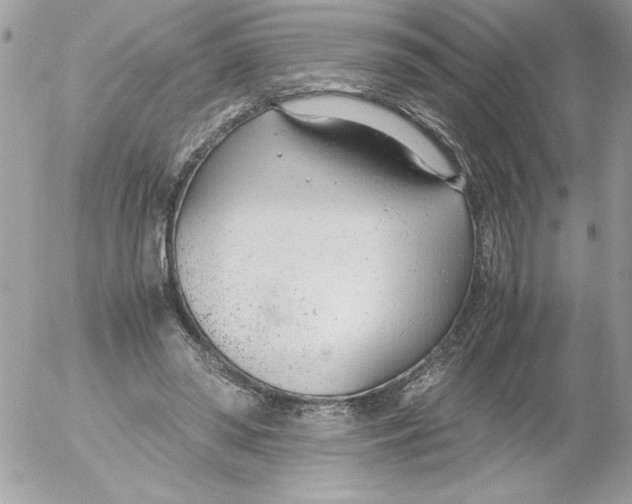 X0000052550398200507291921