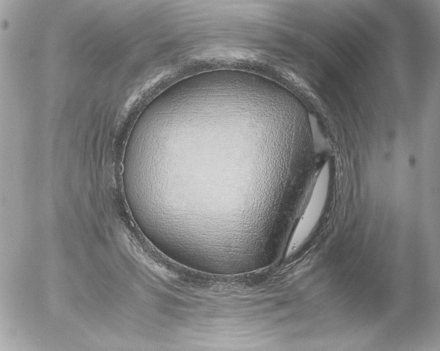 X0000052550399200507291921