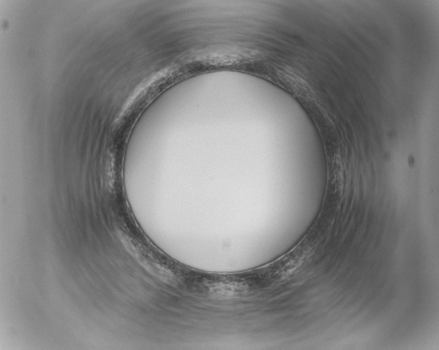 X0000052550400200507291921