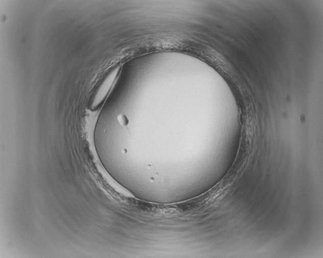 X0000052550401200507291921