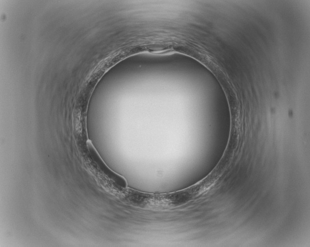 X0000052550403200507291921