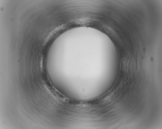 X0000052550404200507291921