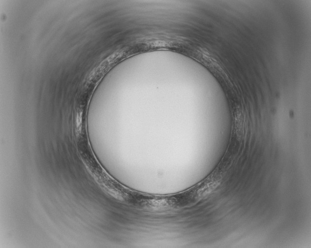 X0000052550406200507291921