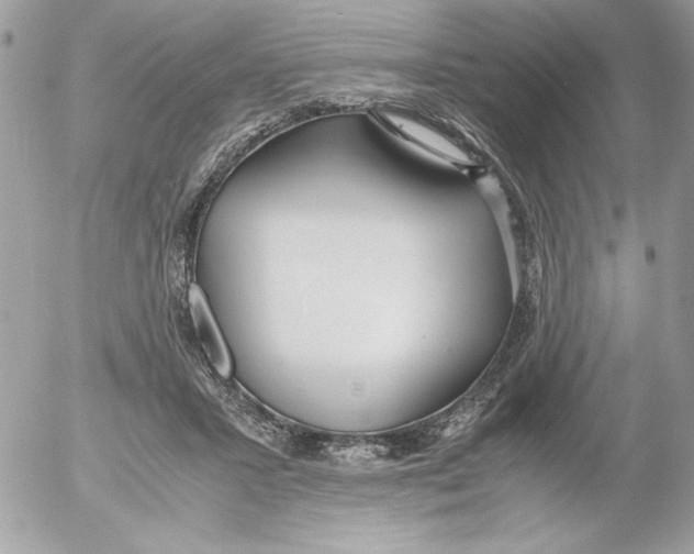 X0000052550407200507291921