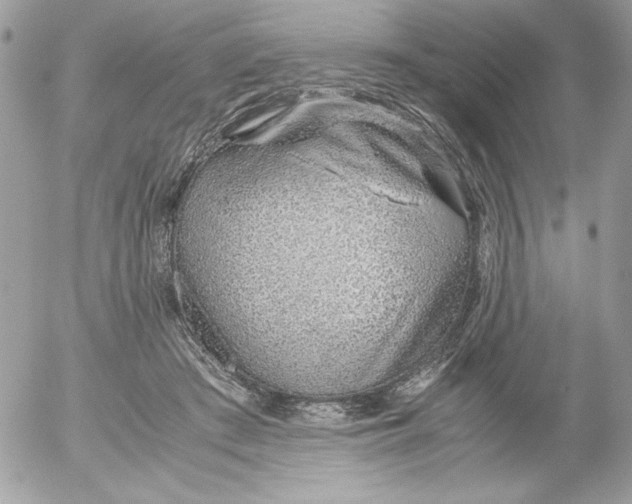 X0000052550409200507291921