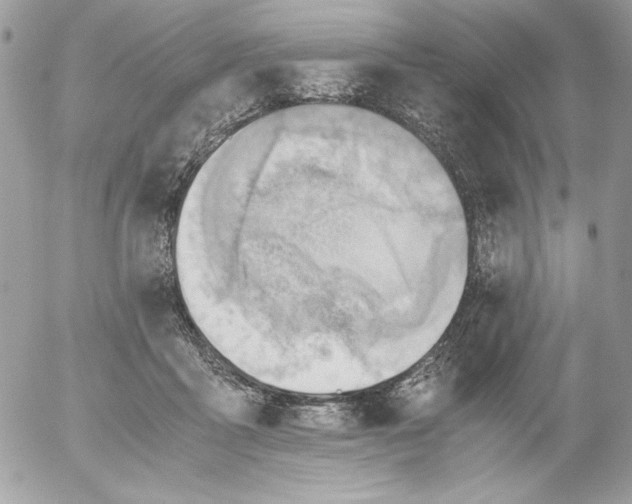 X0000052550411200507291921