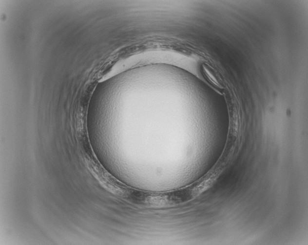 X0000052550413200507291921