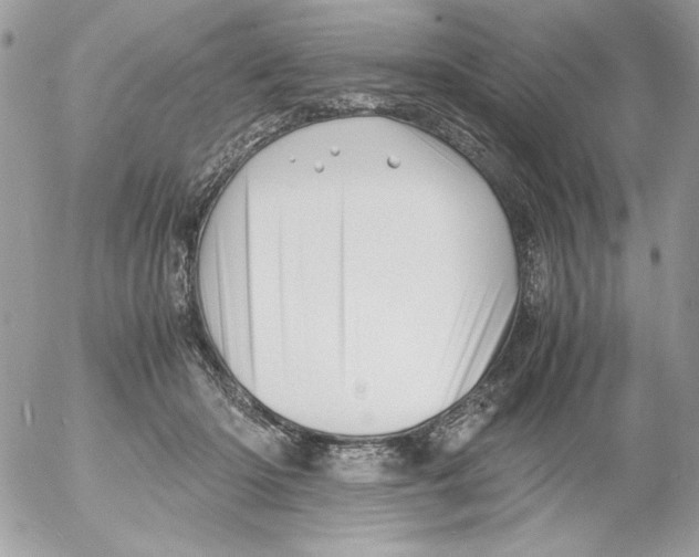 X0000052550414200507291921